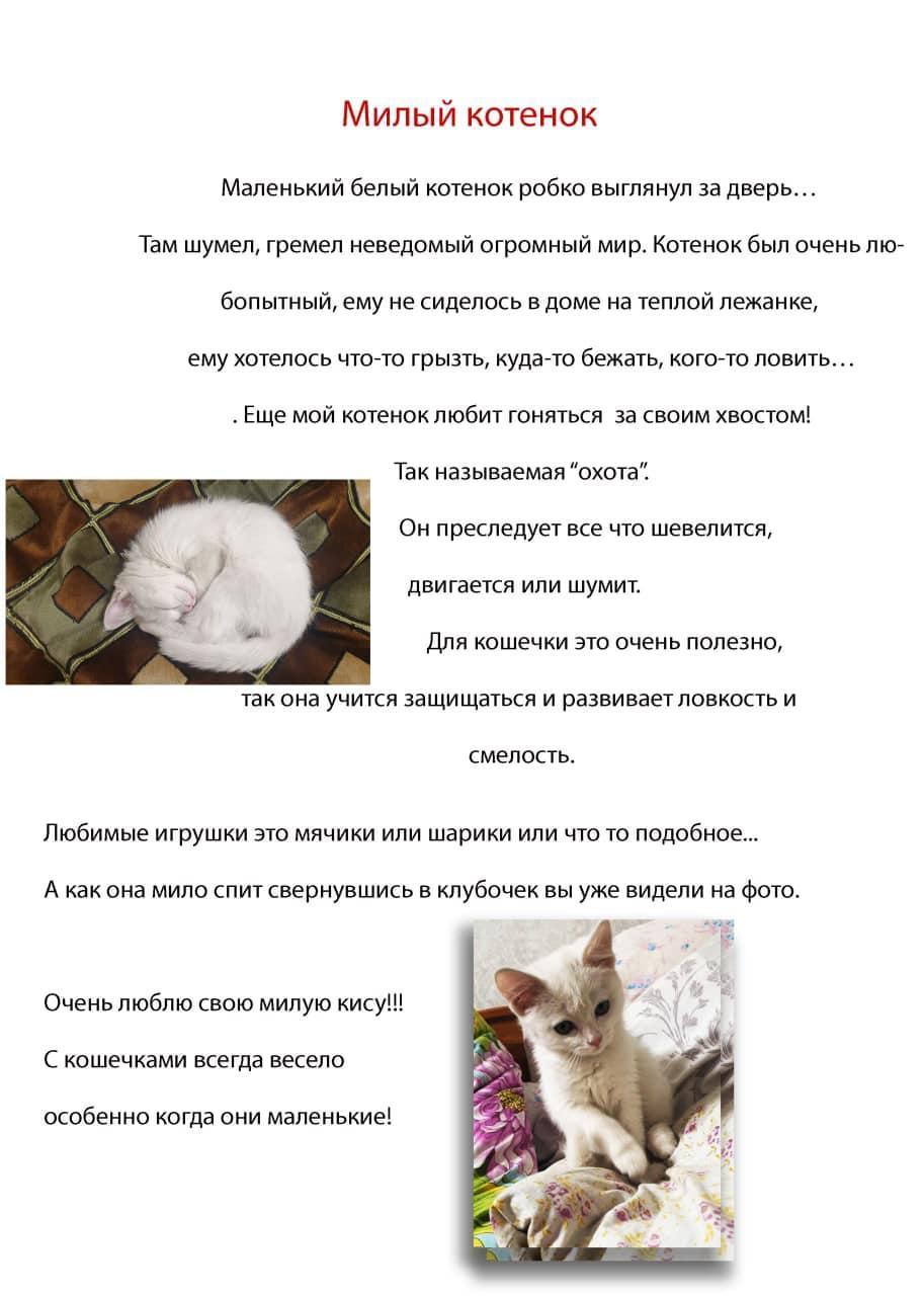 Дүниежүзілік үй жануарлары күніне арналған "Менің сүйікті үй жануарым"атты Фотобайқау. Гопп Лаврентий 7 " Д " сыныбы.Фотоконкурс "Мой любимый питомец", посвященный Всемирному дню домашних животных. Гопп Лаврентий 7 " Д " класс.