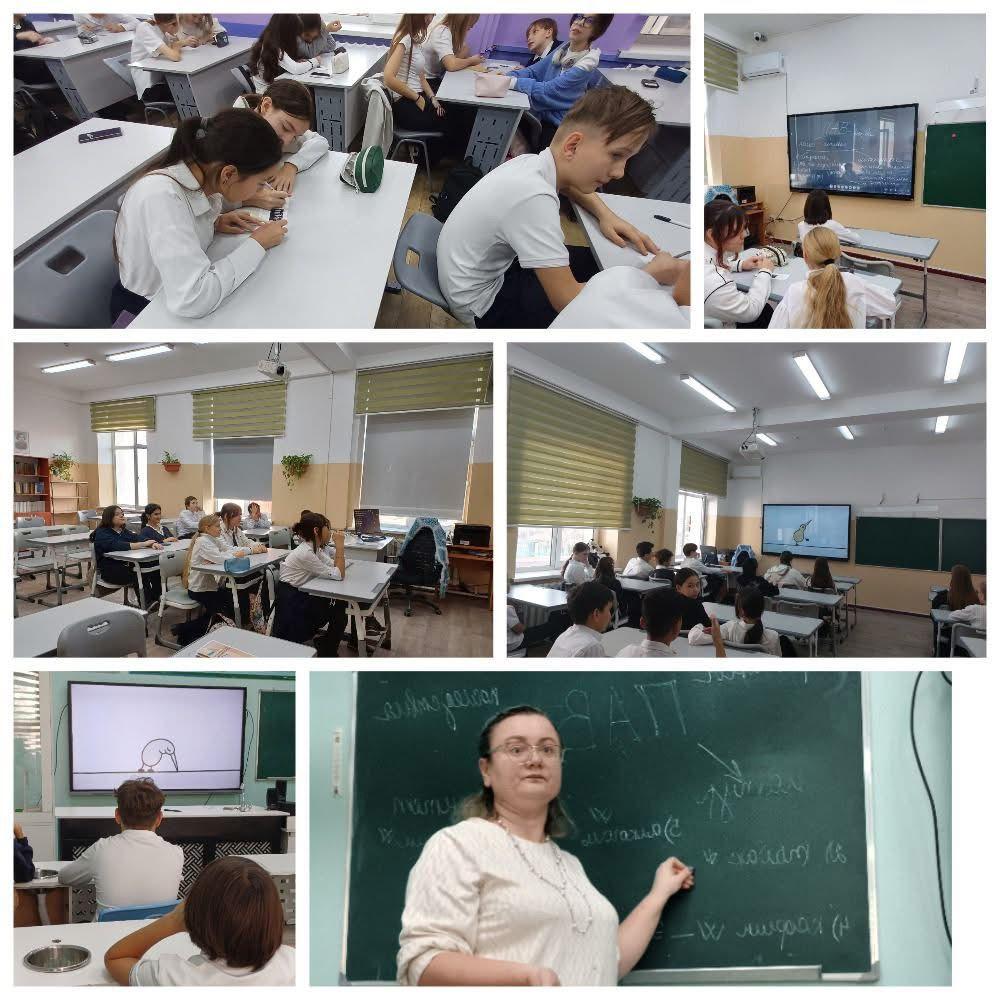 "ПАВ және жасөспірім" профилактикалық сабақ.  Профилактические занятия «ПАВ и подросток»