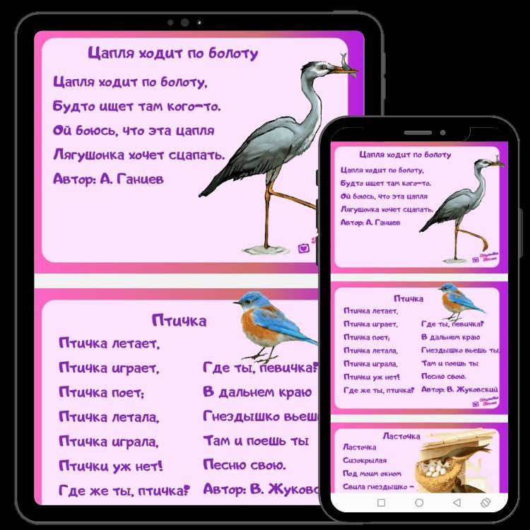 1 сәуір-Халықаралық құстар күні. 1 апреля - Международный день птиц.